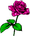 rose2.gif